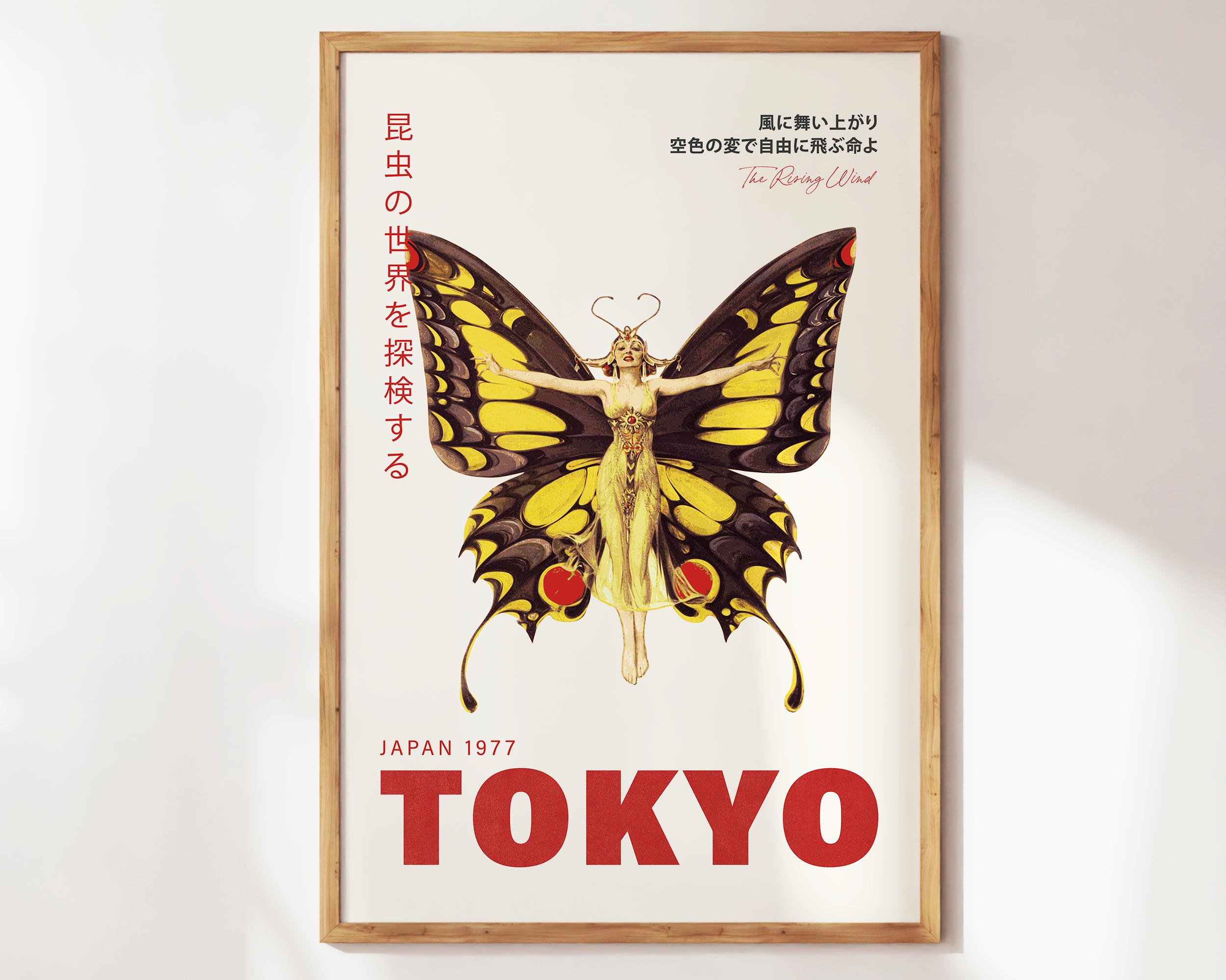 洋書 Butterflies from China, Japan, and Corea 洋書 Butterflies from China, Japan, and Corea 洋書 Butterflies