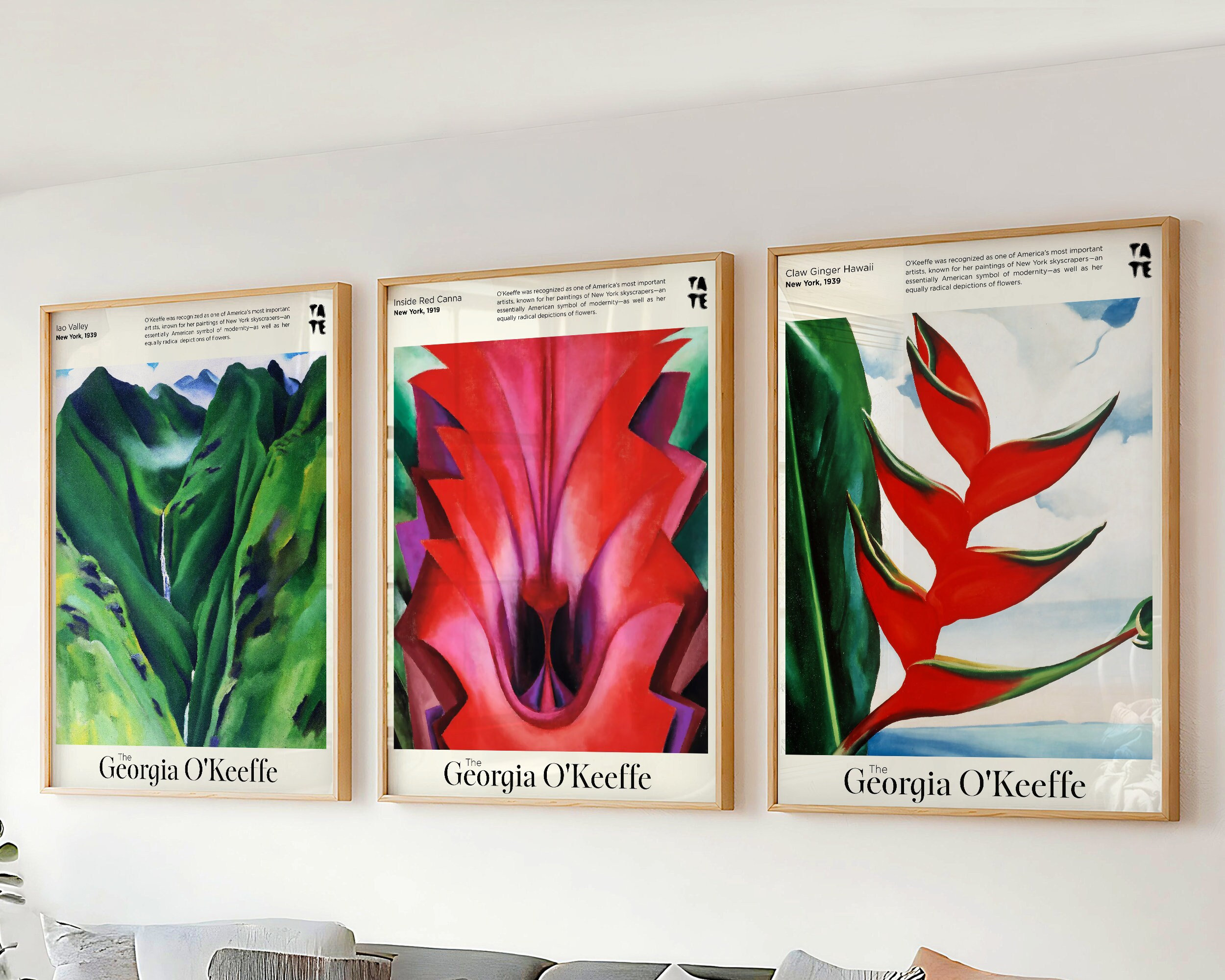 Set of 3 Wall Art Georgia O'keeffe Prints - Topical Hawaii Flower
