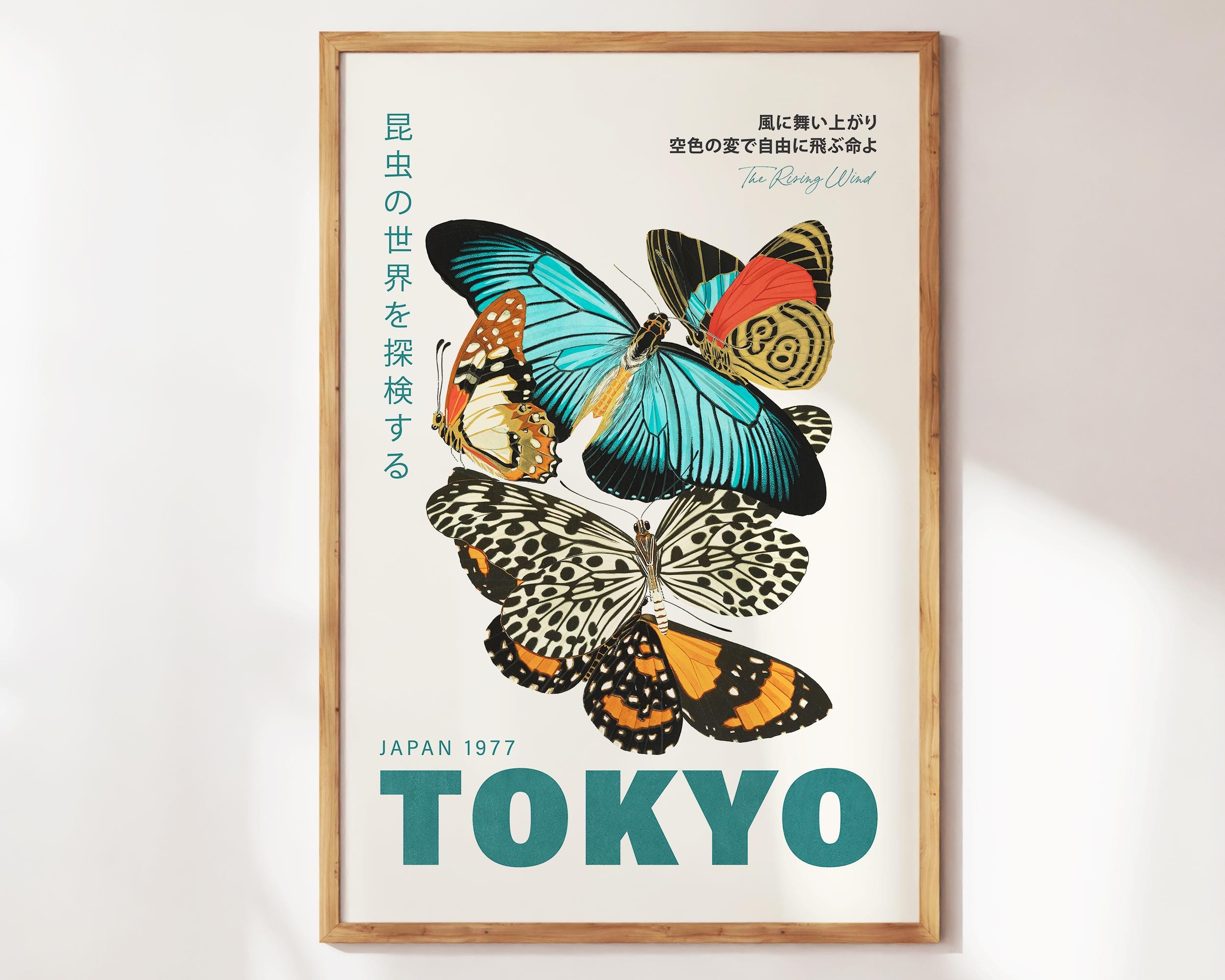 洋書 Butterflies from China, Japan, and Corea Butterflies From China, Japan, and Corea; pt.1: Leech, John