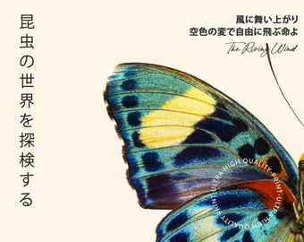 洋書 Butterflies from China, Japan, and Corea Butterflies from China, Japan, and Corea. | Flickr