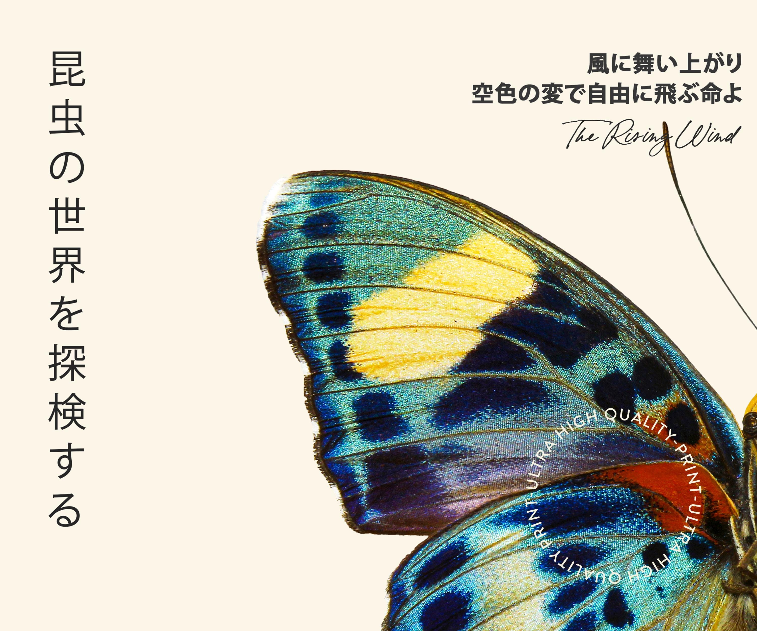 Retro Butterfly Japanese Poster – Vintage Tokyo Exhibition