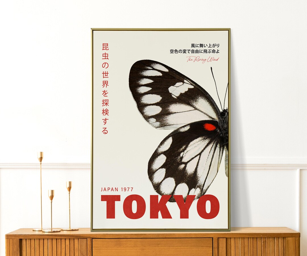 洋書 Butterflies from China, Japan, and Corea World Of Birdwing Butterflies 1998 Japanese Butterfly Insect