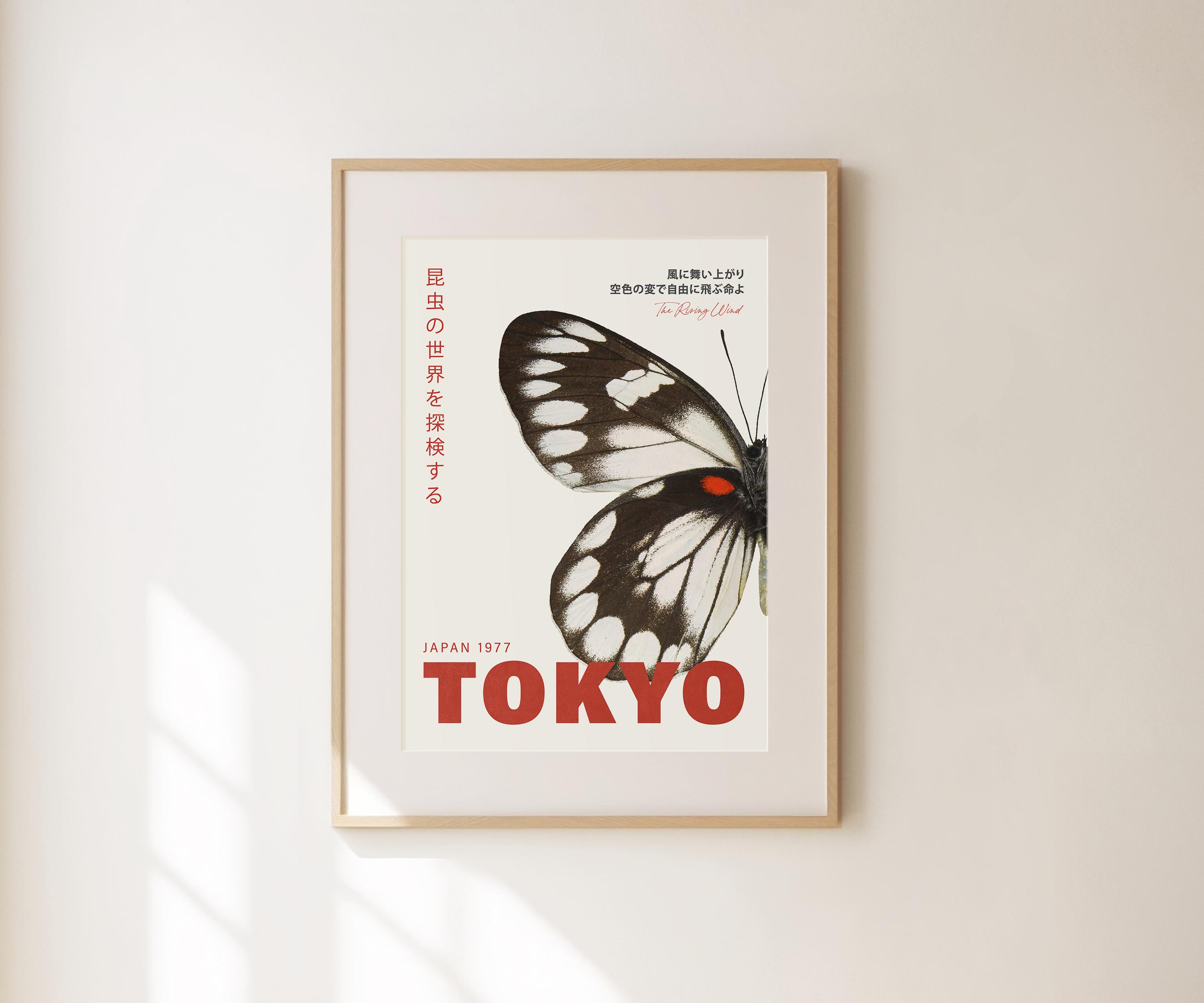 洋書 Butterflies from China, Japan, and Corea File:Butterflies from China, Japan, and Corea (IA
