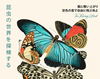 洋書 Butterflies from China, Japan, and Corea il_fullxfull.6447450030_8z7b.jpg