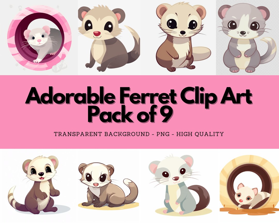 Adorable Ferret Clip Art - PACK OF 9 - PNG - Transparent Background ...