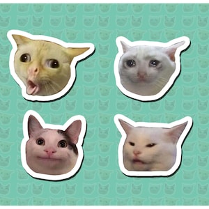 Cat Meme Vinyl Stickers