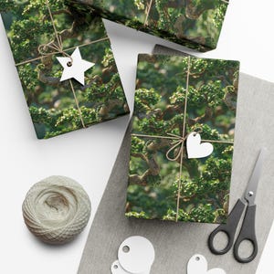 Bonsai Trees: Premium Gift Wrap - Decorative Repeating Pattern, Matte/Satin Finish - High Quality Wrapping Paper japanese bonsai tree