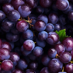 Puede incluir: Un primer plano de un racimo de uvas moradas oscuras. Las uvas están agrupadas y tienen un aspecto brillante y húmedo.