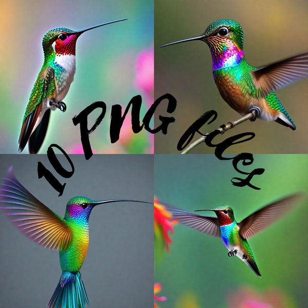 The Iridescent Illusion: Hummingbirds