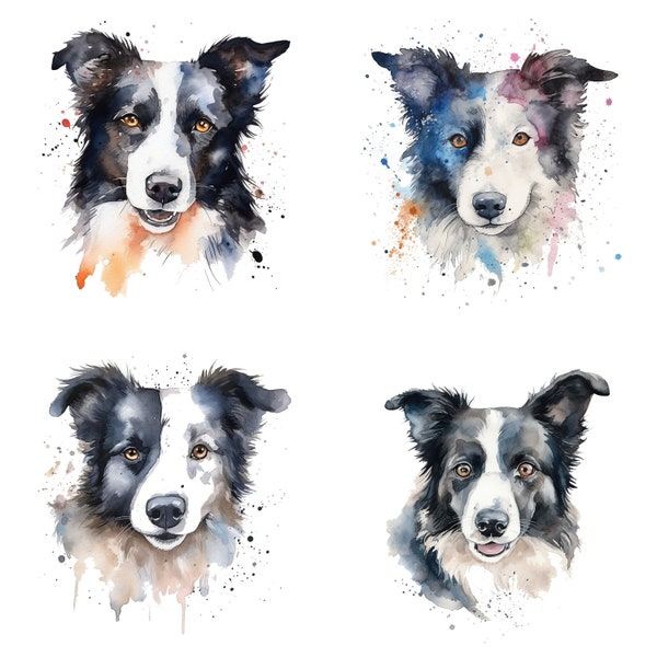 Border Collie Watercolor, Hand-painted Dog Design, Loyal Companion Artwork, Herding Breed Graphics, Realistic Pet Illustration