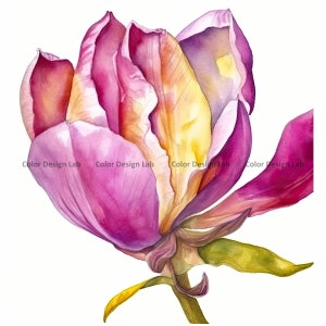 Magnolia Flower Clipart - 12 hochauflösende Magnolia Flower PNG - digitaler Download für Kartengestaltung, Einladungen, Wandkunst, Kunsthandwerk