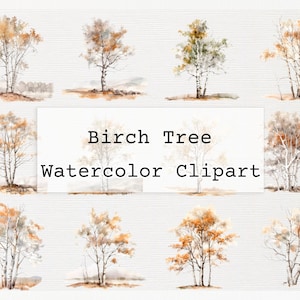 Birch Tree Clipart Aquarela png Birch Tree Forest Licença comercial Download digital PNG aquarela Birch Tree clip art