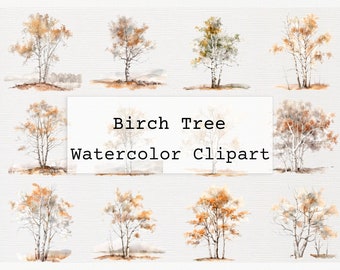 Birch Tree Clipart Watercolor png Birch Tree Forest Commercial License Digital Download PNG Watercolor Birch Tree clip art