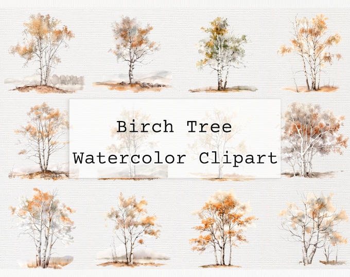 Premium Birch Tree Clipart & Vector Set - Birch Tree Clip Art, Birch ...