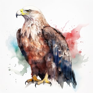 Majestic Eagle Clipart - Ensemble de 8 PNG de haute qualité, Téléchargement numérique, Utilisation commerciale Parfait pour la fabrication de cartes, Invitations, Art mural