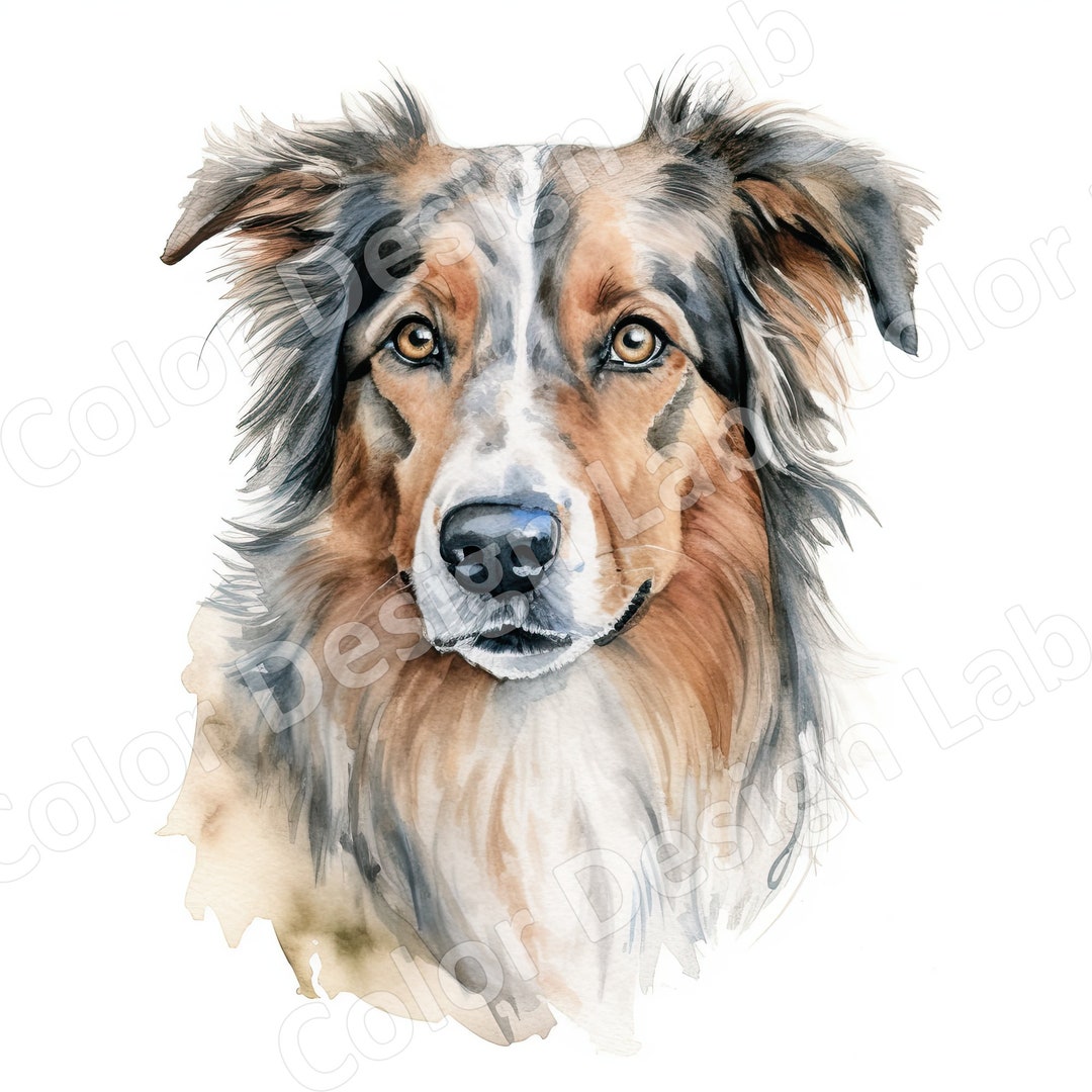 Australian Shepherd Clipart, Loyal Aussie Set of 8 Printable Art Images ...