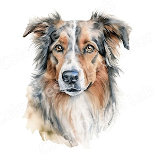 Clipart de berger australien, Loyal Aussie ensemble de 8 images d'art imprimables, téléchargement numérique à usage commercial, chien haute résolution JPG