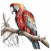 Scarlet Macaw Art Printable Clipart Bundle Set of 8 PNG, Instant Digital Download, Commercial ...