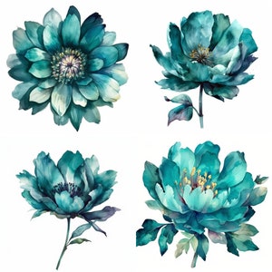 Blumen Teal Clipart - Set mit 12 hochwertigen Blumen PNG - Digitaler Download - Perfekt für die Kartenherstellung, Einladungen, Wandkunst und Kunsthandwerk