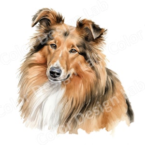 Bundle de cliparts majestueux chien de berger des Shetland, 8 images imprimables haute résolution, téléchargement numérique, chien Art sous licence commerciale