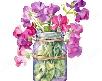 Sweet Peas in Jar Watercolor Clipart, Floral PNG (Digital Download)