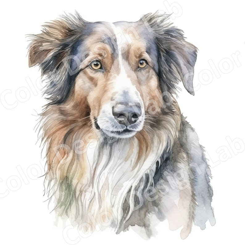 Australian Shepherd Clipart, Loyal Aussie Set of 8 Printable Art Images ...