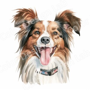 Papillon druckbare Clipart Bundle, 8 hochauflösende digitale Bilder, kommerzielle Nutzung Wandkunst, Papillon Hund Clip Art sofortiger Download
