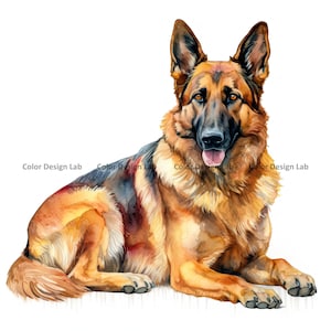 Deutscher Schäferhund bewachen Clipart: 8 PNG, hochauflösende Aquarell Clipart, digitaler Download, perfekt für Handwerk, Einladungen, Wandkunst
