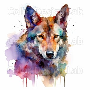 Wolf Clipart, Wolf Digital Download - 8 PNG, Art imprimable de haute qualité, Wolf Clipart aquarelle avec licence d'utilisation commerciale, accès instantané