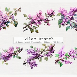 Clipart lila digital floral, descarga dibujada a mano de acuarela púrpura, elegante diseño artístico vintage, gráficos botánicos delicados