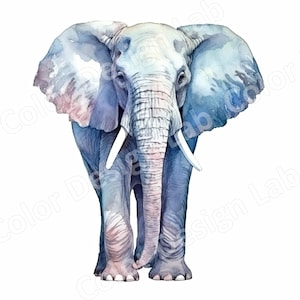 Conjunto de clipart de elefante com 8 imagens digitais de alta resolução, download instantâneo, licença comercial, perfeito para fazer cartões e scrapbooking