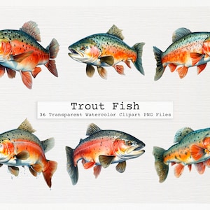 Trout Fish Clipart Bundle Of 36 Quality Transparent Watercolor Png Digital Download Files Commercial License Download Png Trout Fish