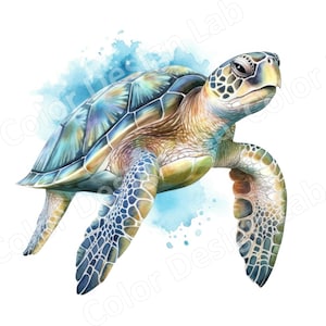 Sea Turtle Printable Clipart, 8 High-resolution Images, Digital ...