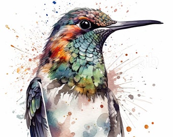 Hummingbird Clipart Set - 8 Feathered Hummingbird Digital Download, High Resolution PNG, Perfect for Crafts, Commercial Use Allowed