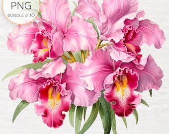 Pink Orchids Clipart Set - Collection of 10 Exotic Orchid PNGs, Perfect for DIY Crafts, Sublimation, Digital Paper Crafts