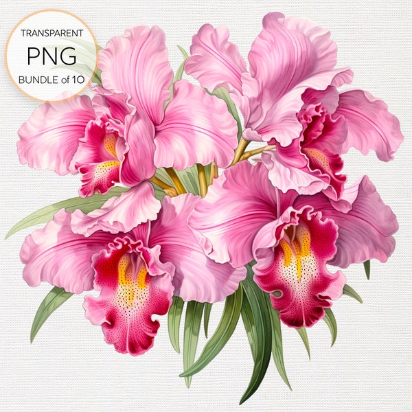 Pink Orchids Clipart Set - Collection of 10 Exotic Orchid PNGs, Perfect for DIY Crafts, Sublimation, Digital Paper Crafts