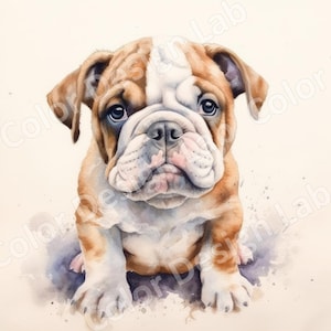 Ludique Bulldog Pup Clipart Set, 8 Images PNG haute résolution, Téléchargement numérique pour les invitations, Scrapbooking, Fabrication de cartes