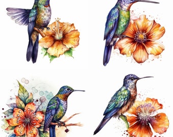 Hummingbird with Flowers Clipart - 12 High-Quality PNG - Hummingbird & Floral Digital Download Perfect for Card Making, Invitations, Crafts