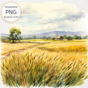 Conjunto de 10 PNGs de clipart em aquarela de campos de trigo majestosos para criação de cartões inspirados na natureza Download digital instantâneo com licença comercial