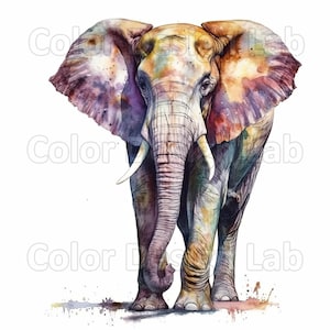 Éléphant imprimable Clipart ensemble de 8 PNG avec licence commerciale, haute résolution, téléchargement numérique
