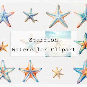 Starfish Clipart. 36 High Quality Transparent Watercolor Png Digital Download Files. Commercial License Download Starfish Clip Art Png Files