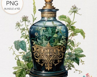 Watercolor Victorian Apothecary Bottle Clipart, Vintage Potion Elixirs (Digital Download)