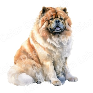 Placid Chow Chow Imprimé Art Ensemble de 8, Images de chien haute résolution en téléchargement numérique, Clipart à usage commercial, Chow Chow Wall Art