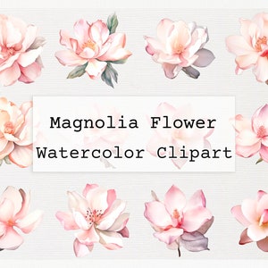 Magnolia Flower Clipart Watercolor png Magnolia Branch Commercial License Download Magnolia Flower PNG Watercolor Clipart