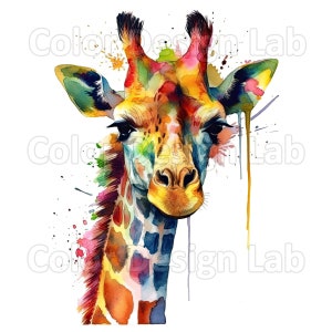 Mignon girafe Clipart ensemble - 8 Digital imprimable PNG, mignon girafe Art pour Wall Art, téléchargement numérique, usage Commercial, haute résolution