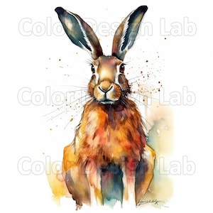 Hare Clipart Set de 8, PNG de alta calidad, Descarga digital instantánea de acuarela Hare, Arte imprimible para invitaciones, tarjetas, arte de pared