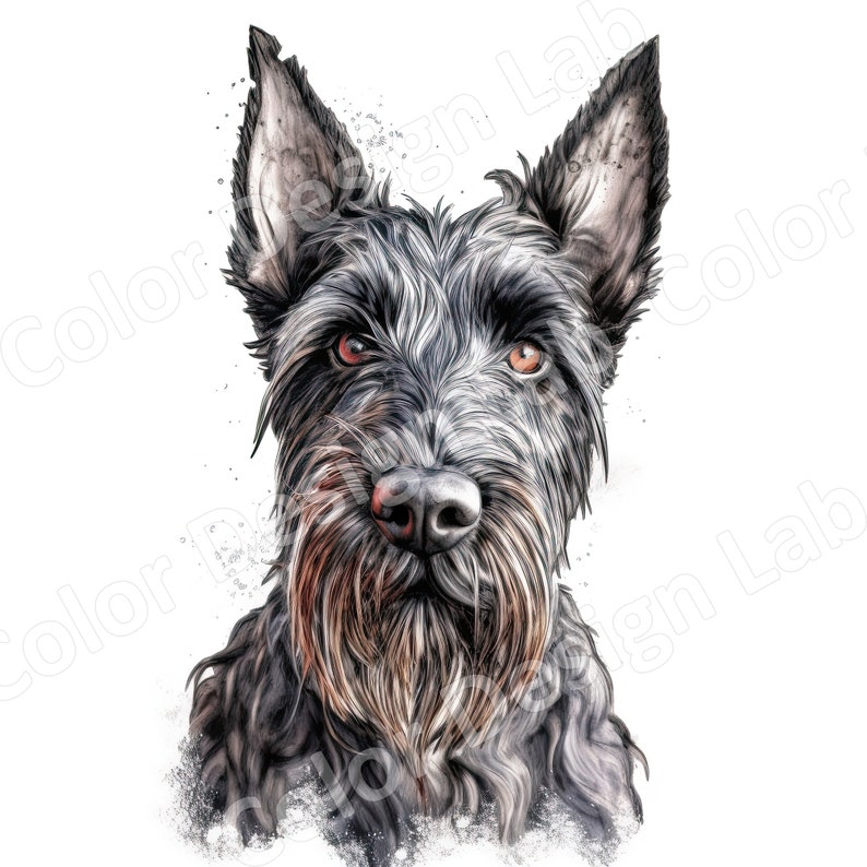 Sincere Scottish Terrier Clipart Set of 8 Dog Art Printable - Etsy