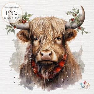 Festliche Weihnachten Highland Kuh Clipart: Entzückende weihnachtliche Illustrationen, für saisonale Dekoration, Grußkarten, Basteln, transparentes PNG