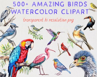 500+ Bird Clipart Bundle PNG Images of Birds for Digital Scrapbooking, Card Making, Instant Download of Bird Clipart, Commercial License