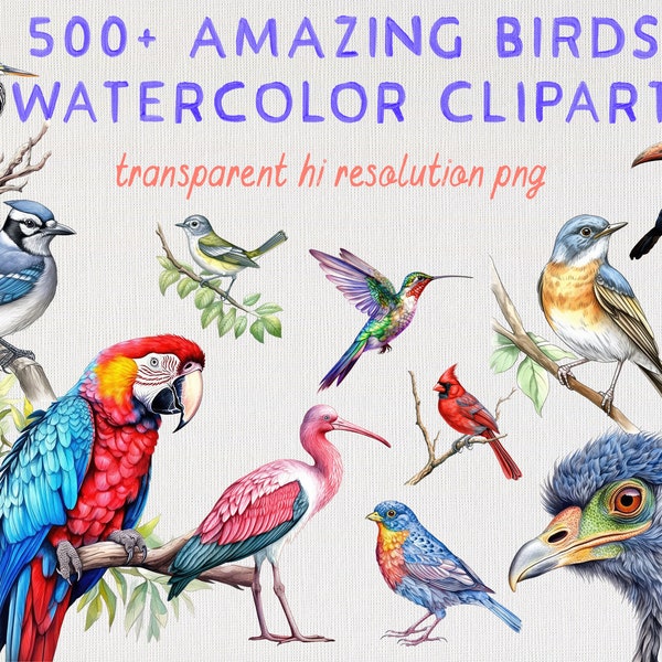 500+ Bird Clipart Bundle PNG Images of Birds for Digital Scrapbooking, Card Making, Instant Download of Bird Clipart, Commercial License